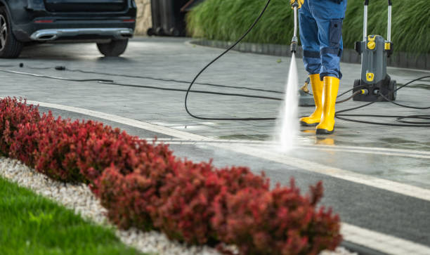 Trusted Forest Lake, IL Pressure Washing Services Experts